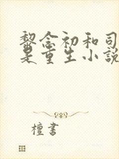 黎念初和司慕城是重生小说