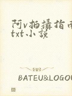 阿v拍摄指南说txt小说