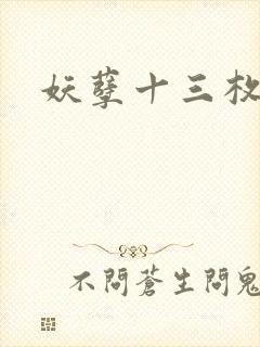 妖孽十三枚