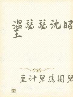 温瑟瑟沈昭摄政王