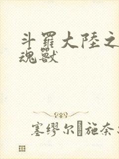 斗罗大陆之最强魂兽