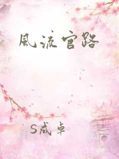 风流官路