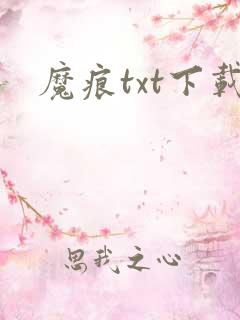魔痕txt下载