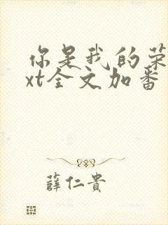 你是我的荣耀txt全文加番外