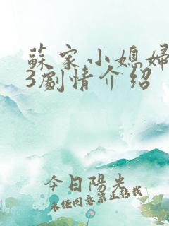 苏家小媳妇1v3剧情介绍