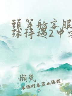 头等舱客服的特殊待遇2中字