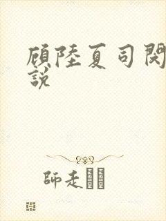 顾陆夏司闵郁小说