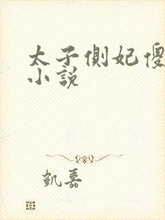 太子侧妃傻乎乎小说