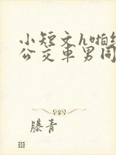 小短文h啪纯肉公交车男同