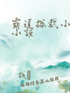 霸道总裁小娇妻小说