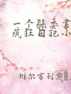 一个县委书记的疯狂日记小说