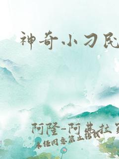 神奇小刁民