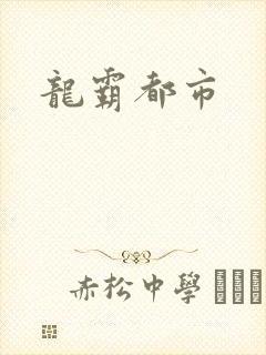 龙霸都市