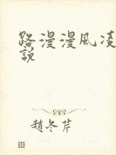 路漫漫风凌轩小说