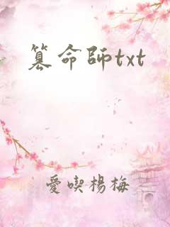 篡命师txt