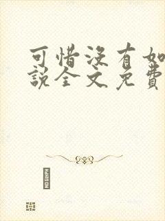 可惜没有如果小说全文免费阅读