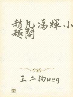 赵凡冯辉小说笔趣阁