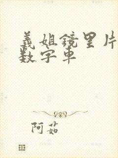 义姐镜里片微博数字车