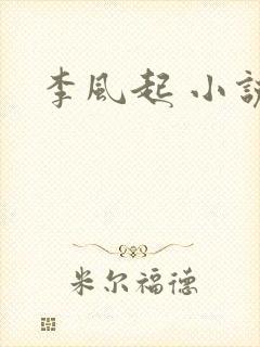 李风起 小说