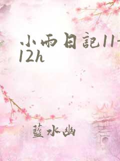 小雨日记11-12h
