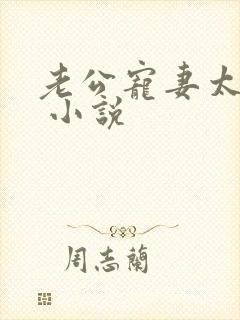 老公宠妻太甜蜜 小说