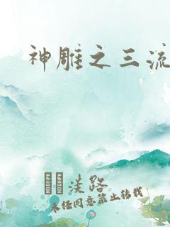 神雕之三流