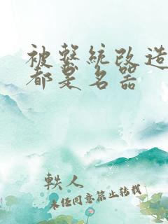 被系统改造全身都是名器