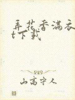 弄花香满衣txt下载