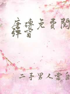 唐砖免费阅读无弹窗