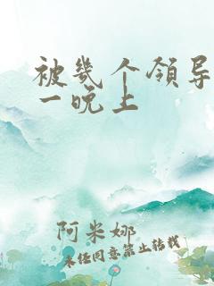 被几个领导玩弄一晚上