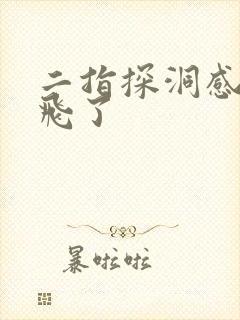 二指探洞感觉要飞了