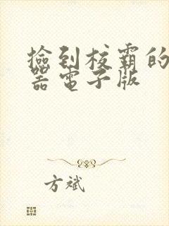 捡到校霸的遥控器电子版