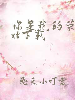 你是我的荣耀txt下载