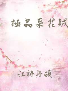 极品采花贼