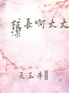 校长啊太大了雅洁
