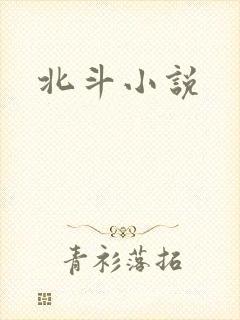 北斗小说