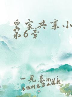 皇家共享小公主第6章