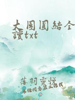 大团圆结全文阅读txt