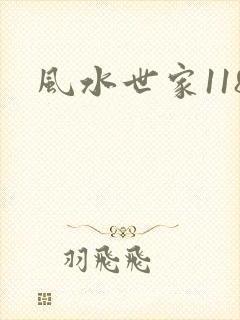 风水世家118
