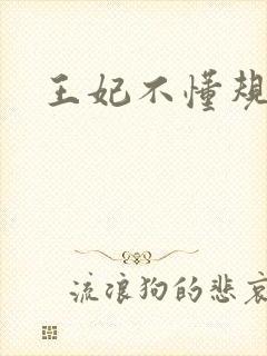 王妃不懂规矩