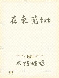 在东莞txt