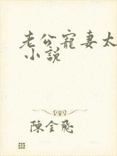 老公宠妻太甜蜜 小说