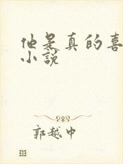 他是真的喜欢你小说