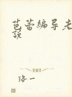 芭蕾编导老师小说