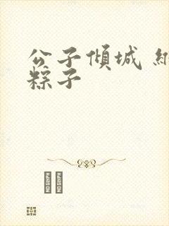 公子倾城 维和粽子