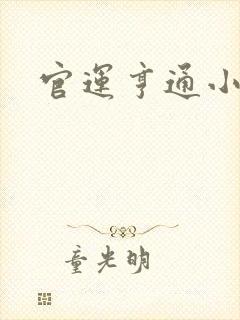 官运亨通小说