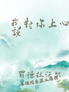 我对你上心了小说