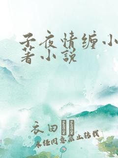 子夜情缠小说原著小说