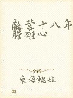 敌营十八年2虎胆雄心