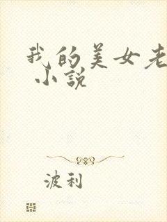 我的美女老婆们 小说
